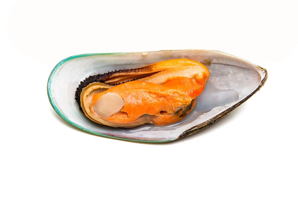 мидии киви размер M