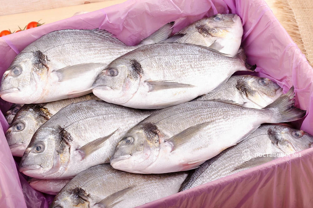 дорадо оптом