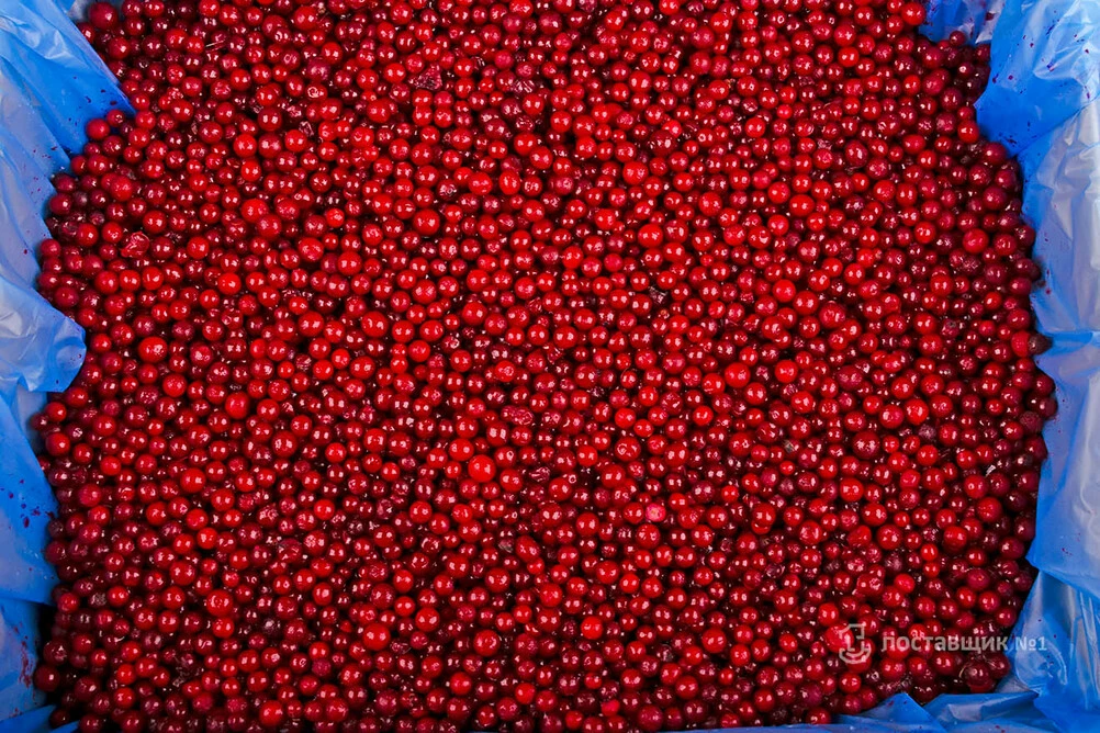 брусника коробка