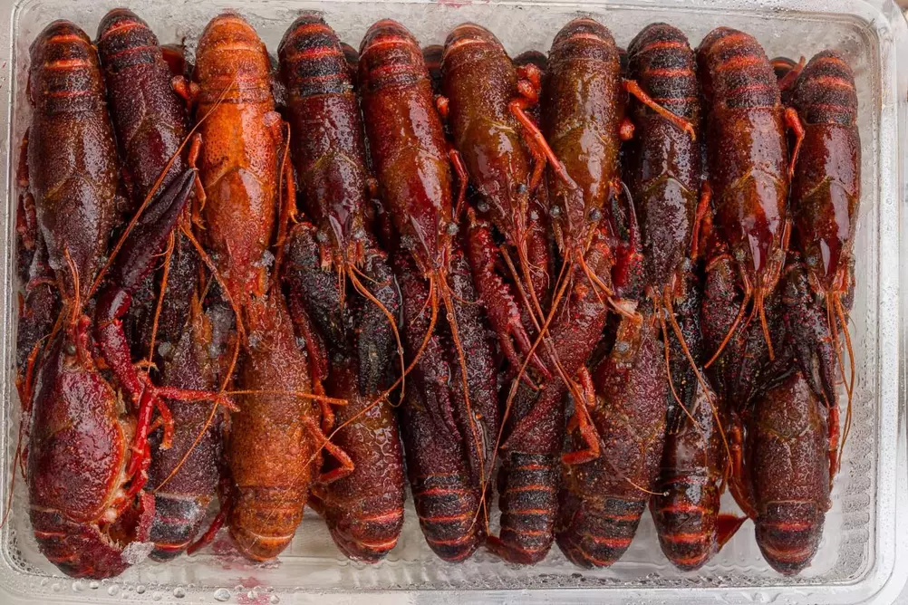 египетские раки