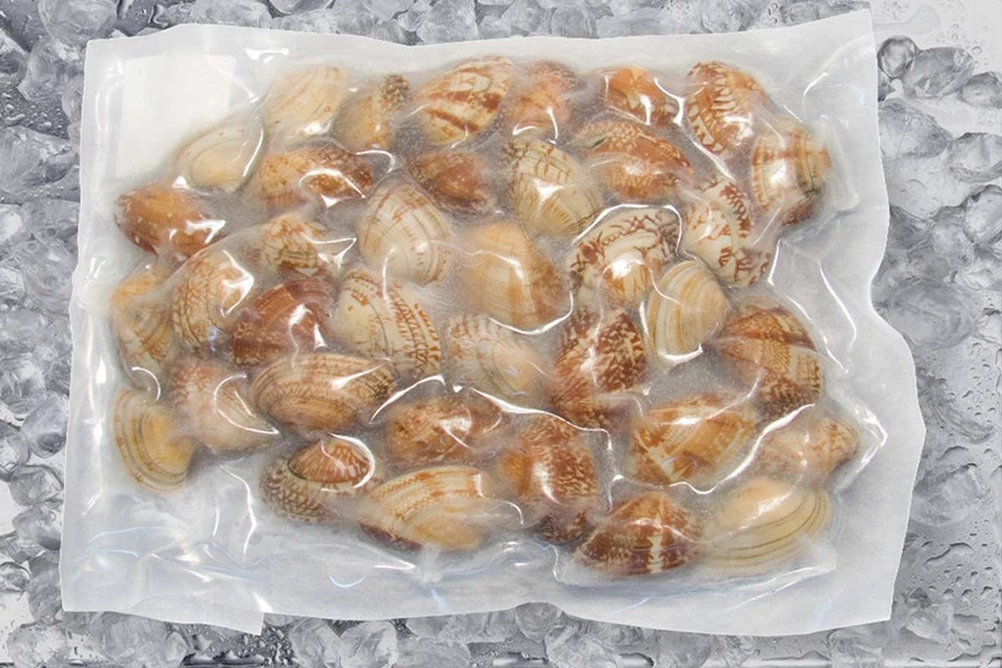 венерка вонголе