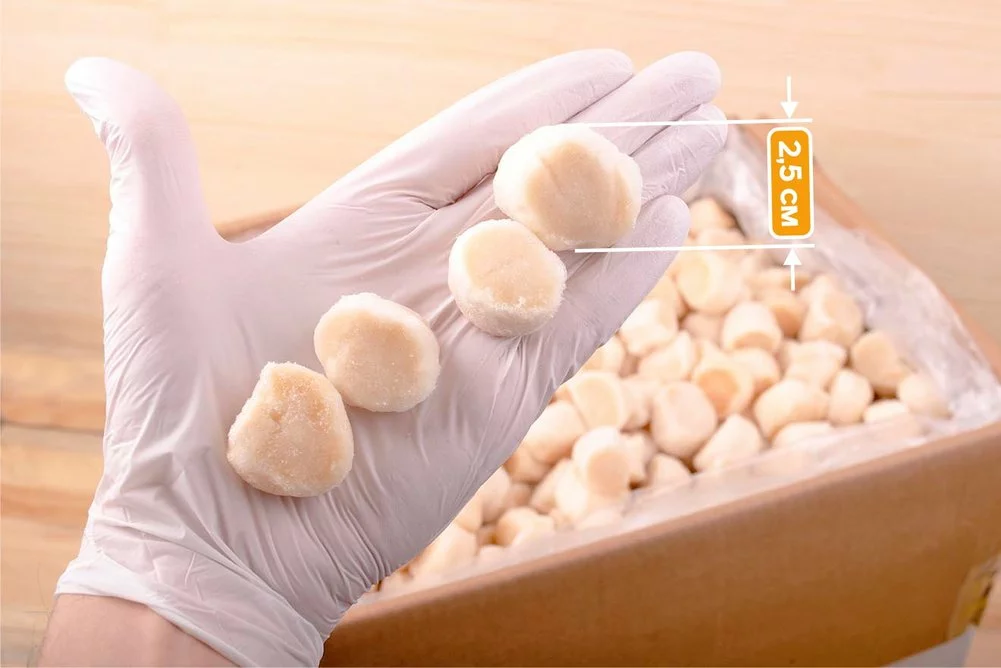 филе гребешка