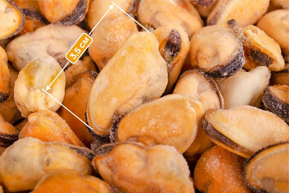 размер мидий