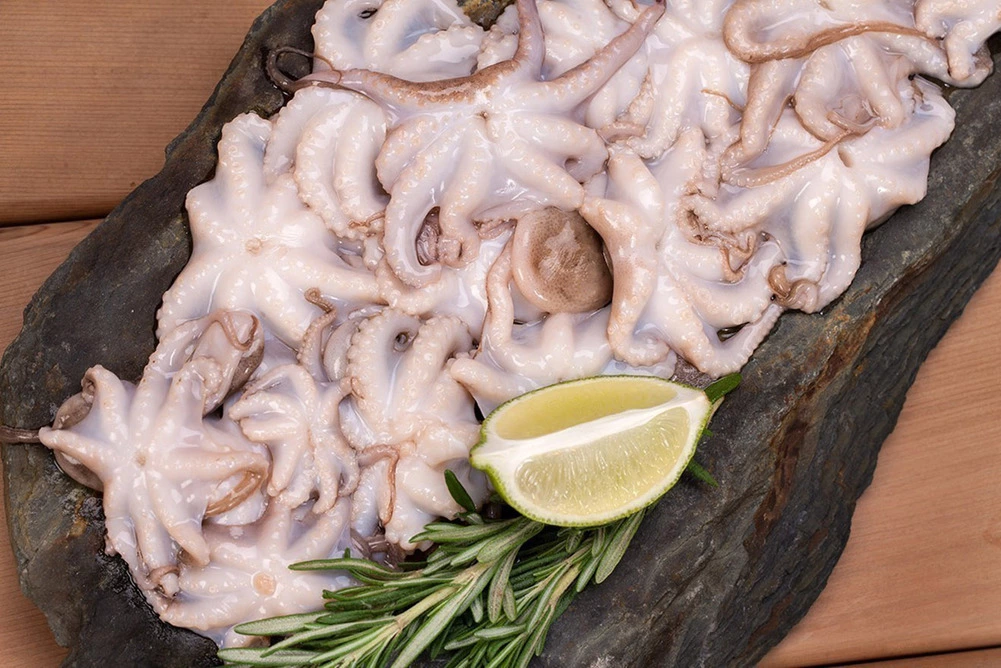 молодые осьминоги