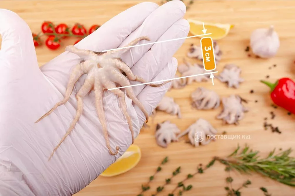 бейби осьминожки