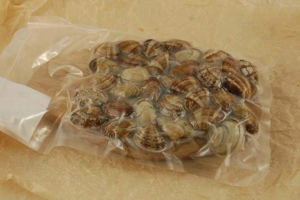 вонголе оптом