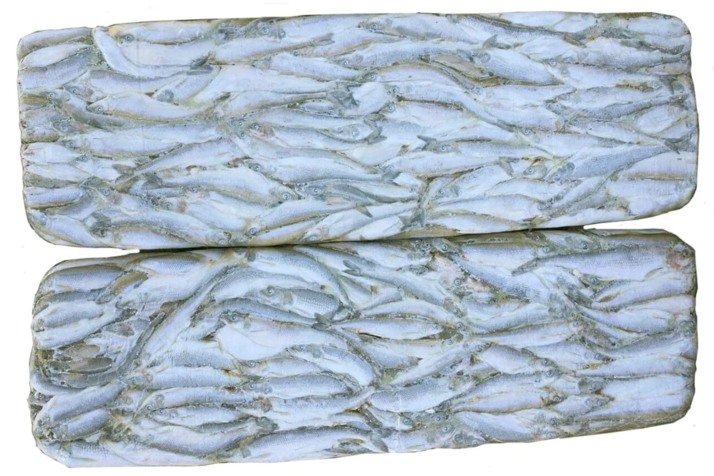 корюшка блочная