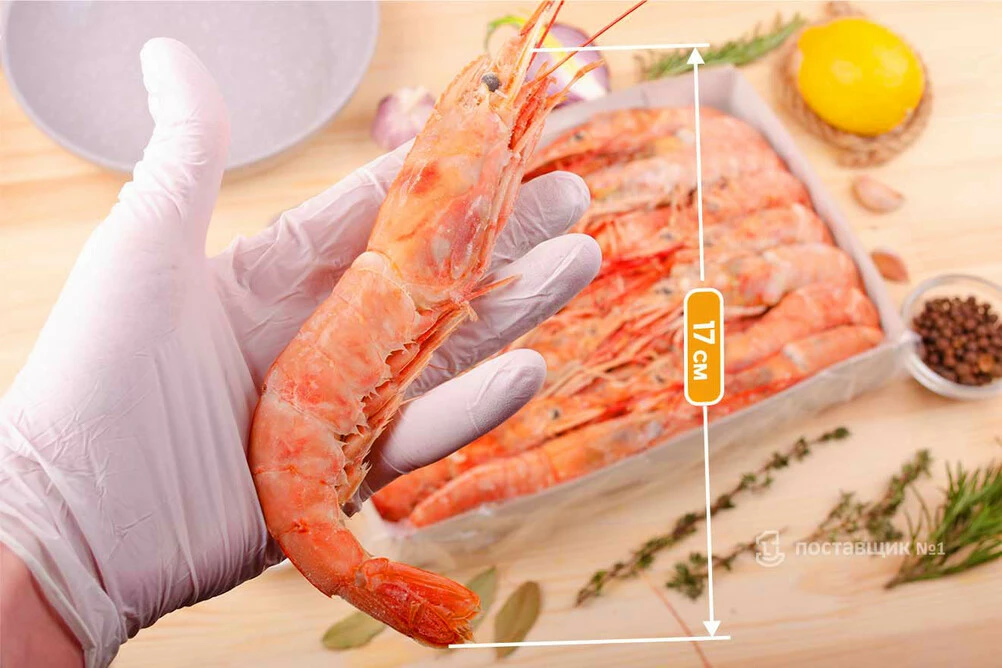 размер лангустинов