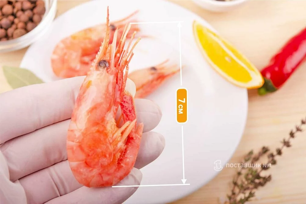 креветка размер 7 см