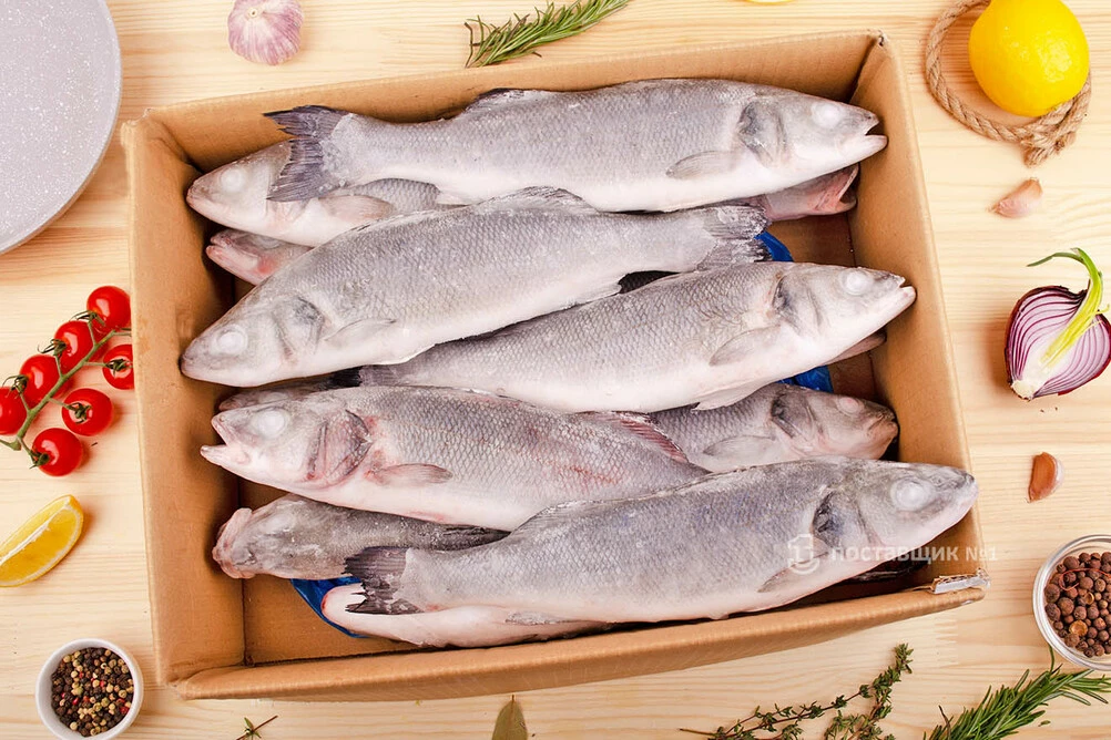 сибас оптом