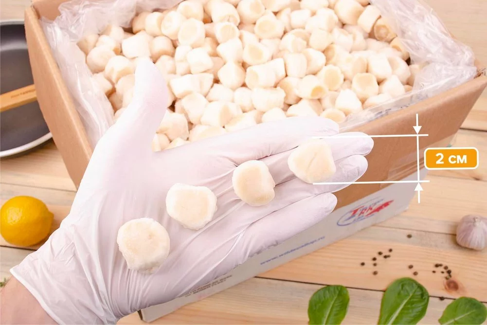 морской гребешок