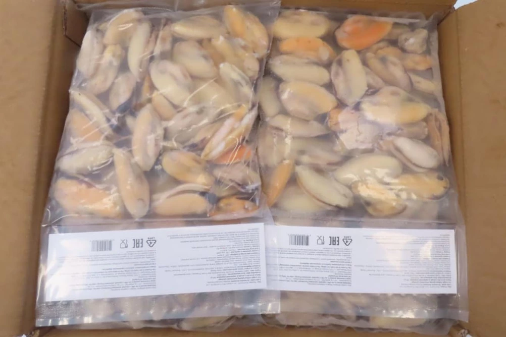 оптом мясо синих мидий