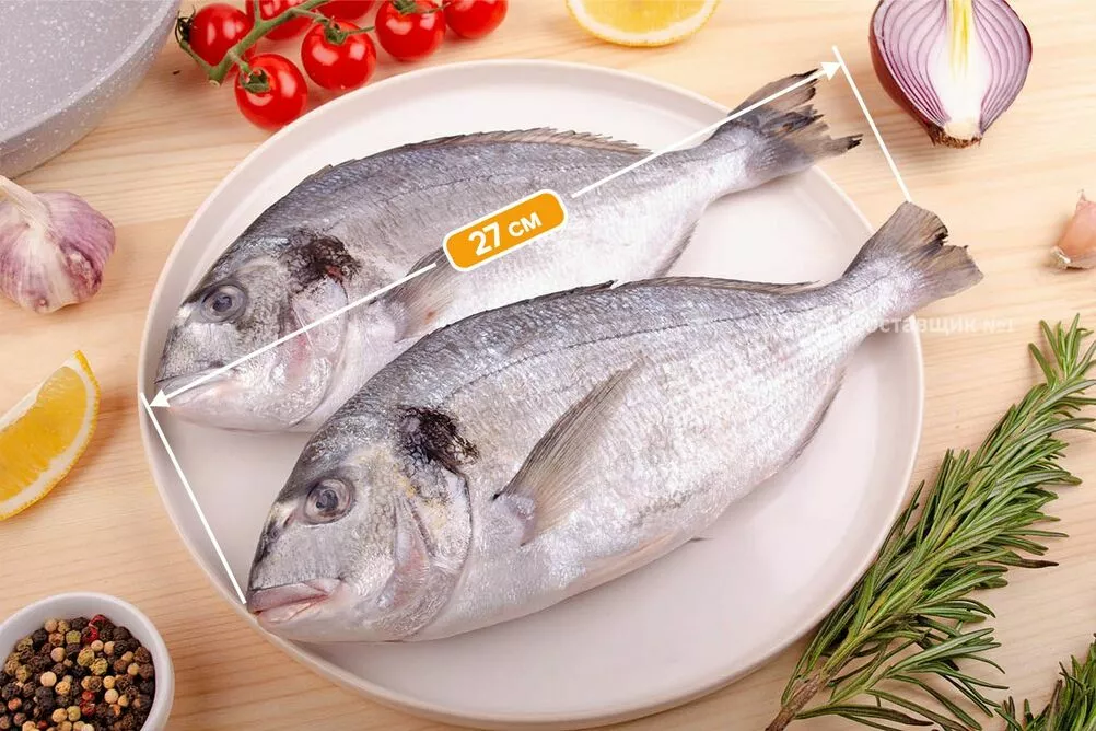 дорадо размер