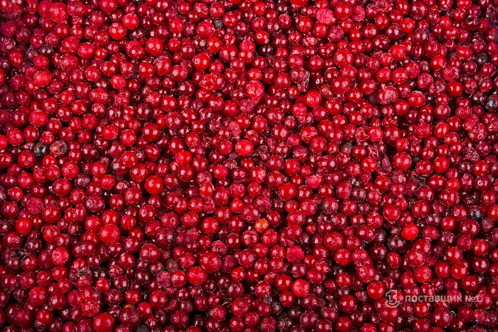 ягода клюква