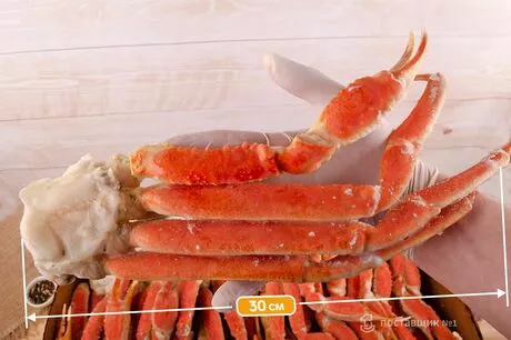 стригун размер 2L