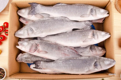 сибас коробка