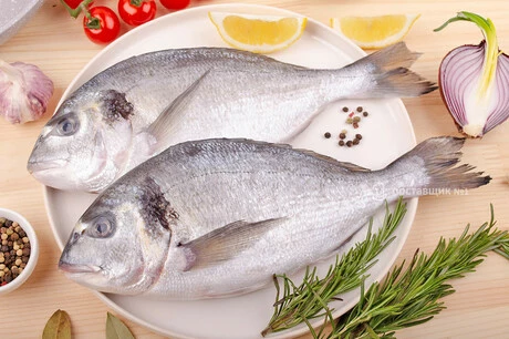 рыба дорадо