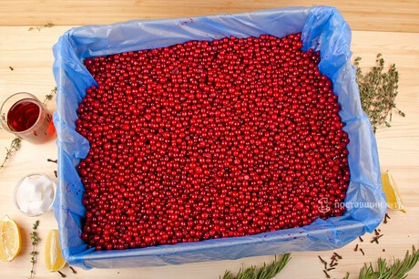 брусника оптом