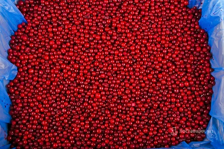 брусника коробка