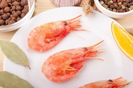 креветка северная