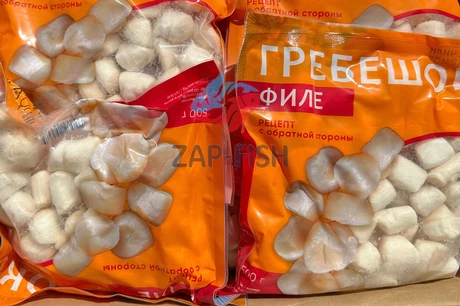 оптом гребешок филе
