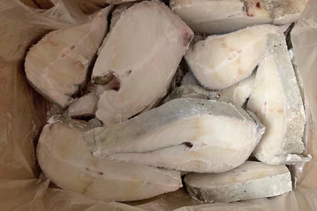 зубатка оптом