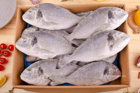 дорадо оптом