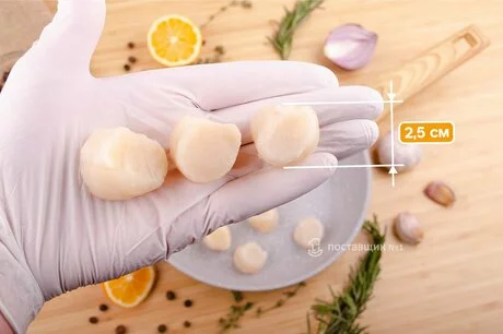 размер гребешка