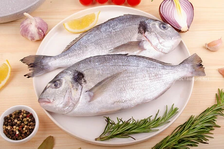 рыба дорадо