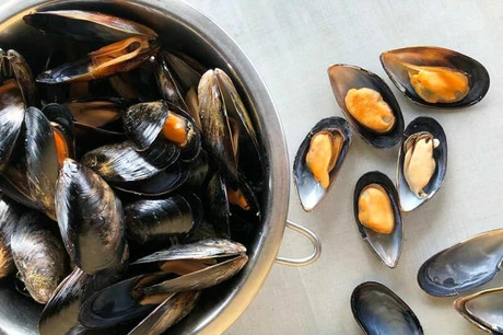 мидии в раковине