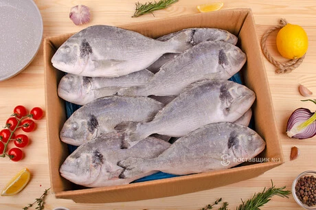 дорадо рыба коробка