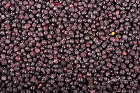 черника замороженая