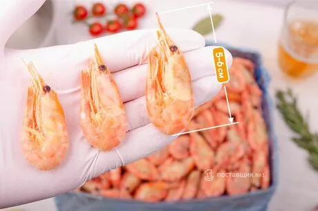 размер креветок 150