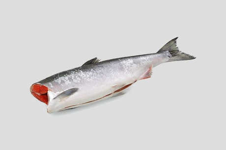 кижуч рыба красная