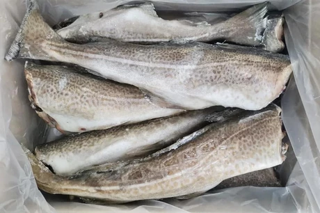 треска оптом