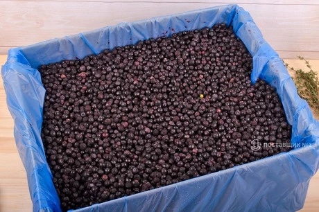 черника оптом