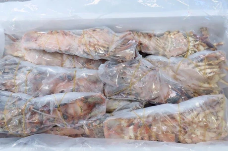 лангусты оптом