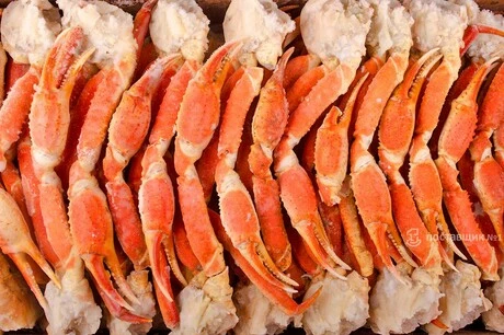 конечности краба стригуна