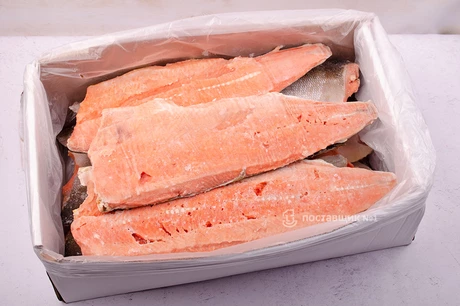 филе кеты оптом