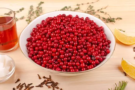 клюква ягода