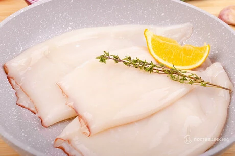 командорский кальмар