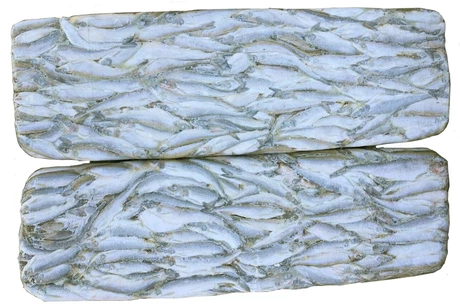 корюшка блочная