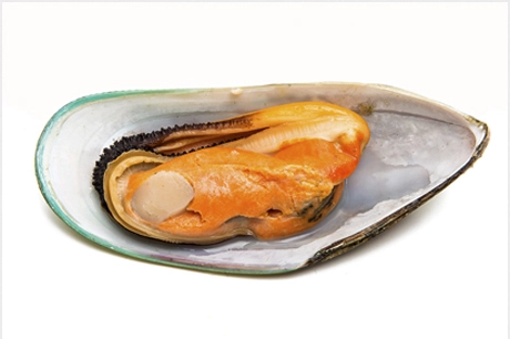 мидии киви размер M