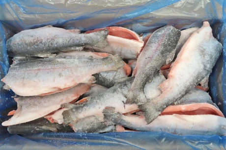 форель оптом