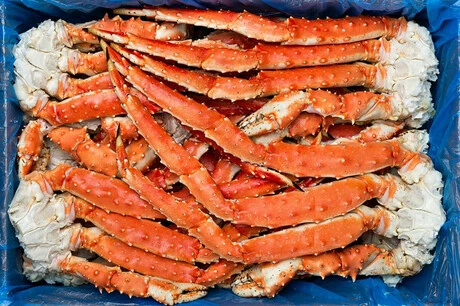 краб конечности оптом