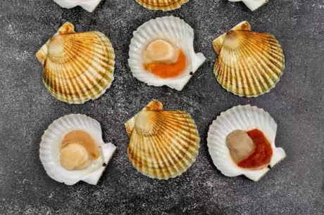 гребешок на полураковине