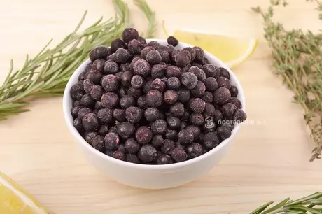 черника лесная