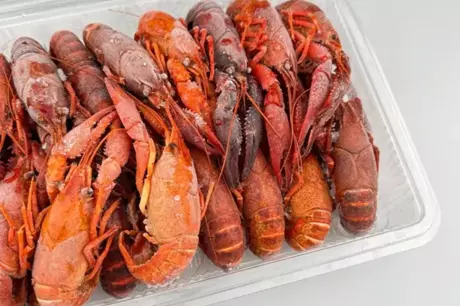 египетские раки