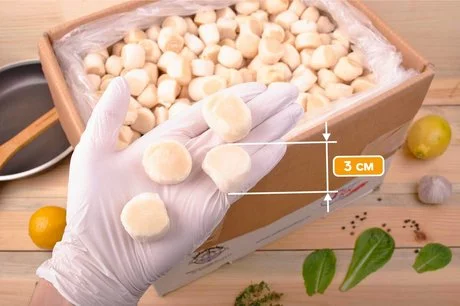 гребешки размер L