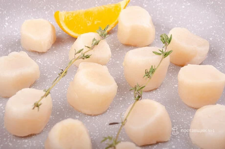 филе гребешка